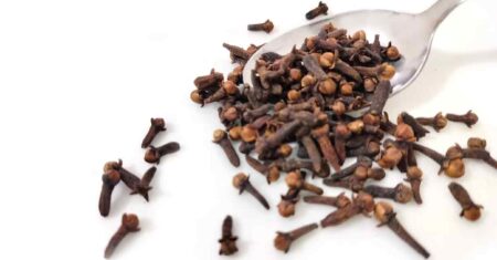 Cravo da Índia: Benefícios do aromático cravinho para a saúde
