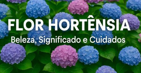 Você não vai acreditar no encanto da flor hortênsia no seu jardim!